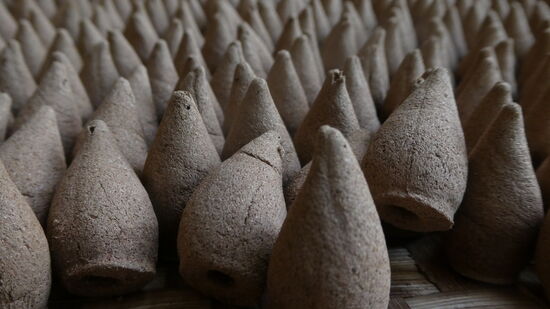 Suchbild: was ist das?