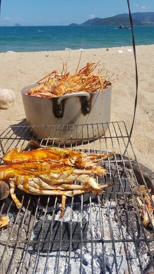 mein erster Hummer !