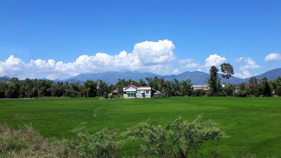 aus der Stadt raus, und die ersten Reisfelder...