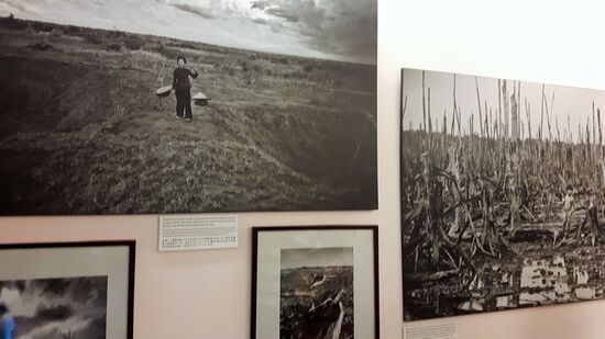 Fotos von den Resultaten der Agent Orange Einsätze, als Dioxin über die Wälder und Reisfelder gesprüht wurden. Auch in der 3. Generation kommen noch missgebildete kinder auf die Welt.