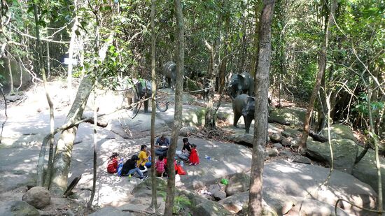 Picknick neben den Elefanten.
