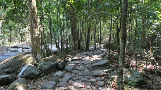genauso mühselig wieder runter über Stock und Stein