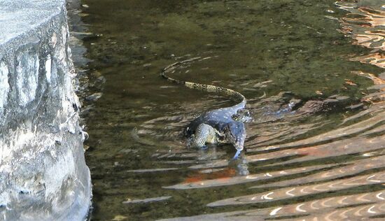 sogar mit Unterhaltungswert