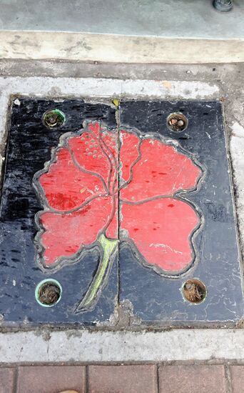 in der ganzen Stadt die schönsten Gullideckel, die ich jemals gesehen habe