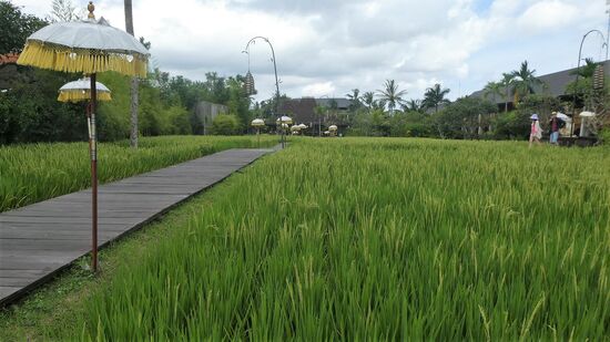 ...oder schmücken Hoteleingänge.