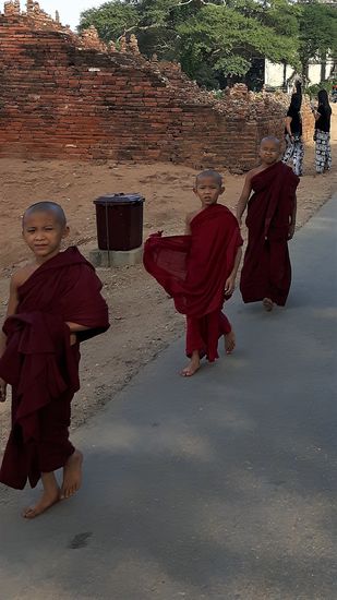 auf die kleinen Mönchsnovizen komme ich noch zurück