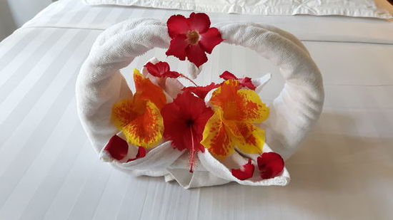 Kunst der Zimmermädchen