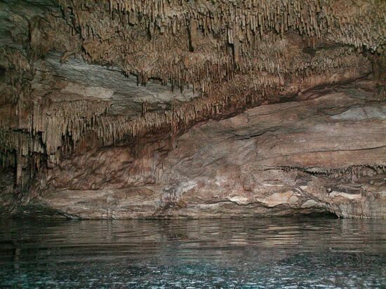 Auftauchen in der Fledermaushöhle ...