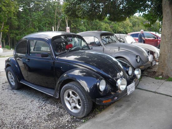 Nie so viele VW-Käfer gesehen, wie hier in Mexiko. Übrigens in allen vorstellbaren Erhaltungszuständen!