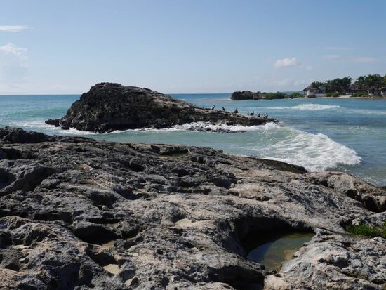 Pelikane. Freifliegend überall an der Küste und immer wieder ein Hingucker.