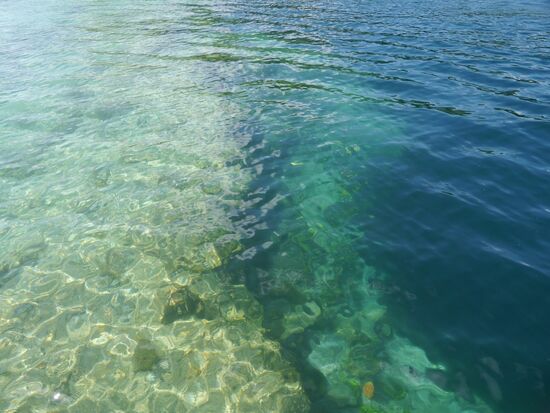 Ganz deutlich sieht man die Abbruchkante. Links Lagune, rechts die "Black Cenote".
