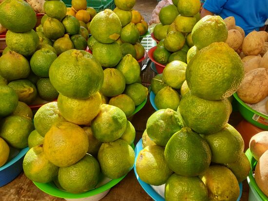 Sour Oranges. Wichtig für die mexikanische Küche, wie wir noch lernen sollten ...