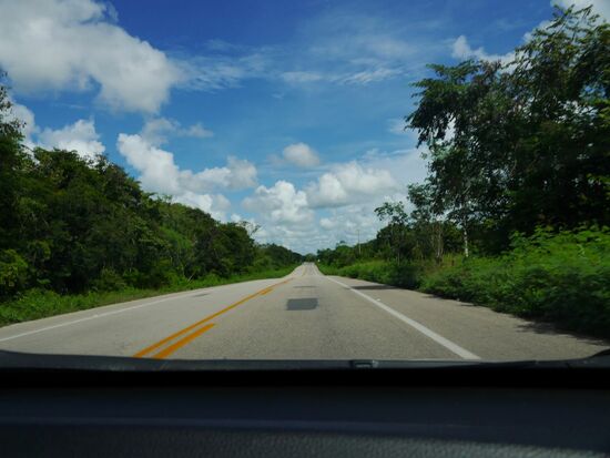 Höchstgeschwindigkeit 80. Mehr darf man nicht. Für Maritta schwer auszuhalten, zumal kaum jemand da ist. Halt! Das gilt nur wenn man die vielen Schmetterlinge, die hier herumgaukeln nicht mitzählt. Wir haben selten so viele, bunte und große Falter gesehen, wie auf den Autobahnfahrten.