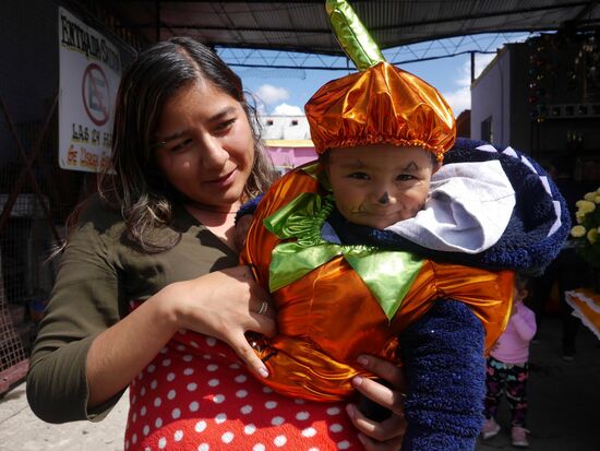 Kürbis - warm verpackt.