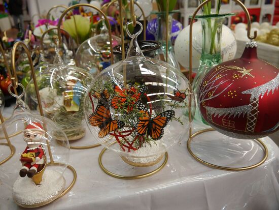 Die Monarchen! Kleine Dioramen in Weihnachtskugeln. Eine Entschädigung für die entgangenen Originale sind sie nicht.