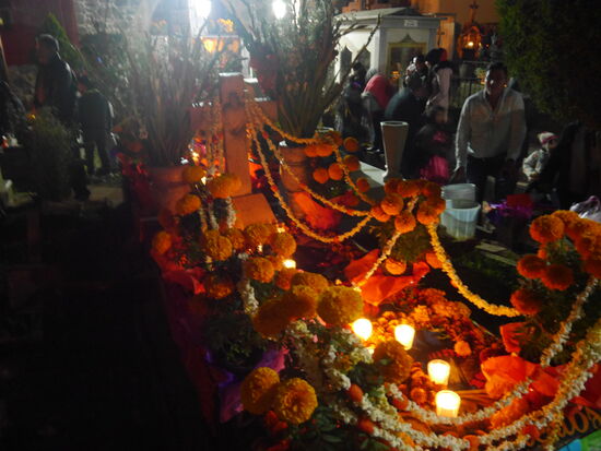 Die gelben Blüten sind deswegen so wichtig, weil die Geister gelb besonders gut erkennen können. Die Blüten leiten sie auf ihrem Weg durch das Menschenreich.
