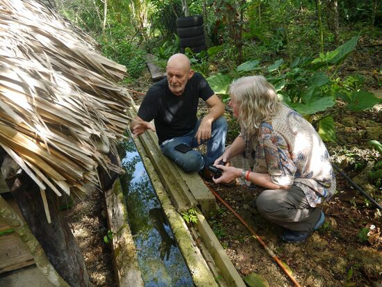 Der Wassergraben schützt die Bienen vor Besuchen der anderen Art: Ameisen zum Beispiel.