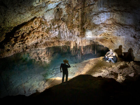 Grandioses Foto von Michael, das die Atmosphäre der Cenote gut wiedergibt.