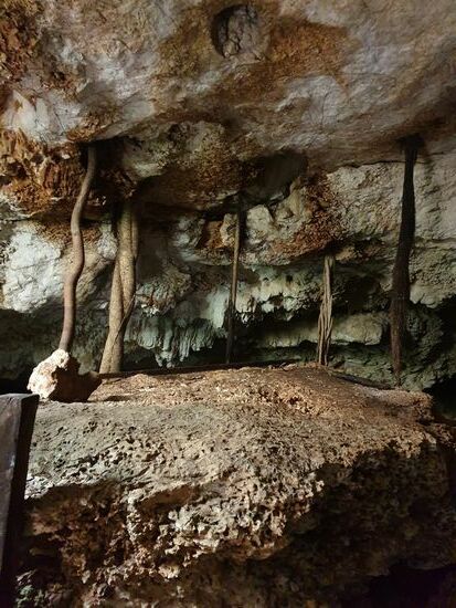 Die Wurzeln der Bäume suchen sich einen Weg ins Innere.