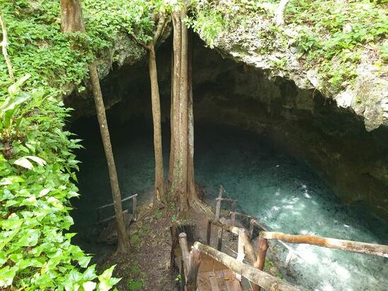 Auch diese Cenote ist mit kühlem Süsswasser gefüllt.