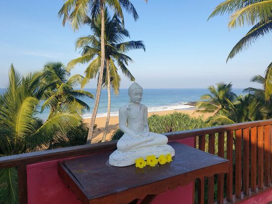 auf der Dachterrasse findet die Yogastunde statt