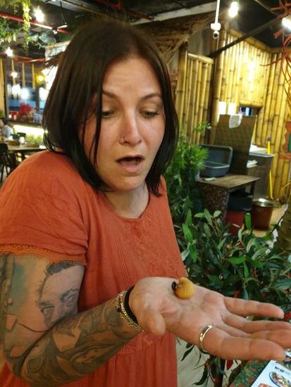 ...lebenden Sagowürmer als Spezialität des Hauses haben wir uns dann doch verkniffen