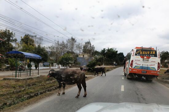 Die Autofahrer fahren hier auch nicht besser als die Busfahrer, oder Rollerfahrer, oder LKW Fahrer. Jeder ist sich selbst der nächste.