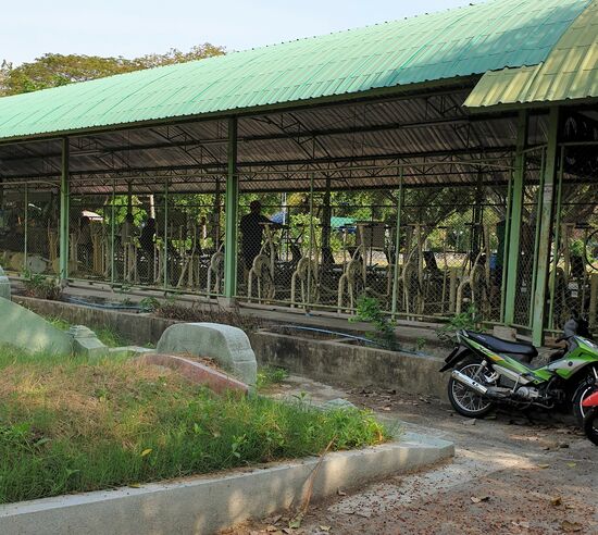 Vorne die Gräber und dahinter das Fitnessstudio