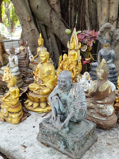 Hier wird ein heiliger Baum verehrt