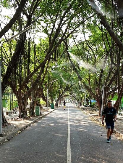 Und immer schön auf der richtigen Seite halten.