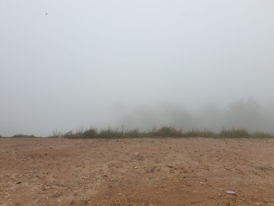 keine 10 m weit die Sicht 