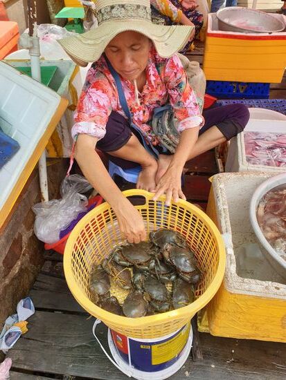 Liebe Astrid, erinnerst Du Dich?