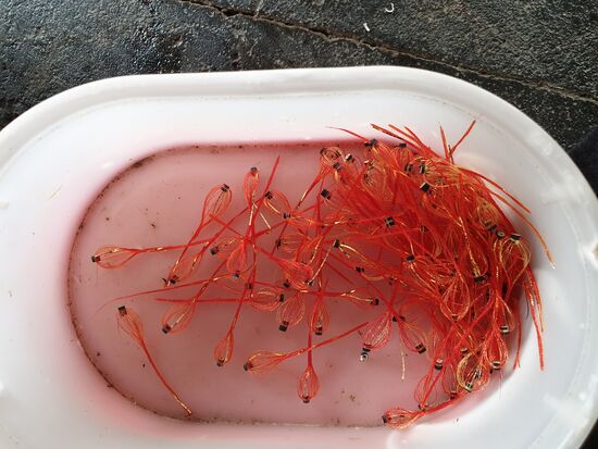 Köder für kleine Fische. Von den Frauen des Hotels in mühevoller Kleinarbeit hergestellt aus Fäden und hohlen Kabelstückchen.