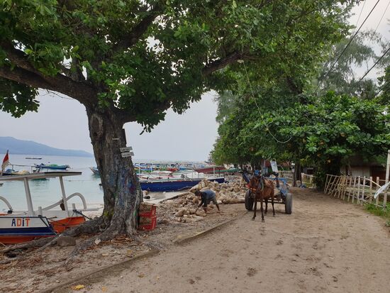 2018 war hier ein großes Erdbeben, die Schäden sind immer noch sichtbar. Alle Baumaterialien zum Wiederaufbau müssen per Boot gebracht werden, u.a. auch Sandsäcke in Mengen. Leider gibt es auch hier auf den Inseln ein großes Müllproblem, und ich sicher nicht wegen dem Erdbeben, sondern eher dem Tourismus und dem Unverständnis geschuldet.
