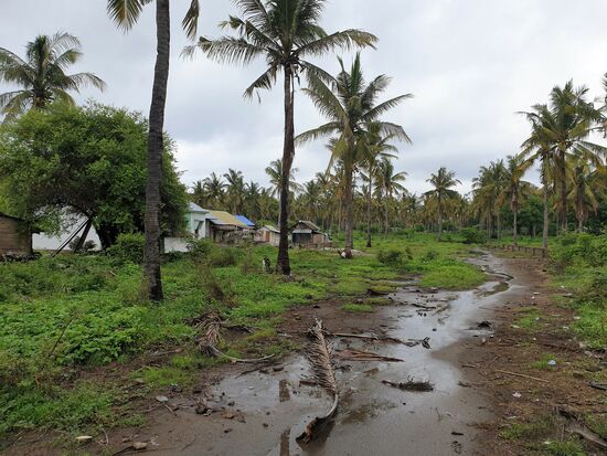 Abends gibt es kräftige Schauer, es ist ja noch Regenzeit. Nachts kann es auch ordentlich gewittern...