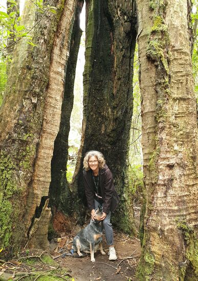 Mit Bhakti und Bonny geht's in den Busch - bzw. den Otway Nationalpark