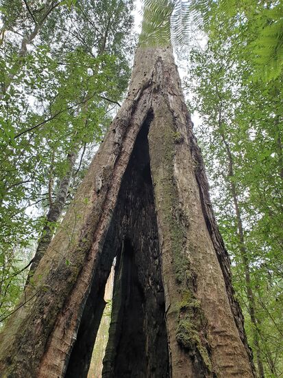 Alles in großen Dimensionen