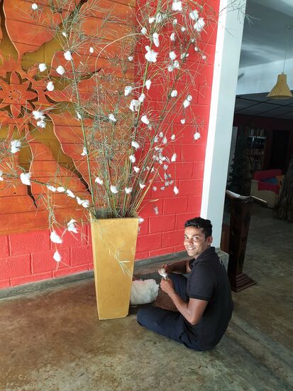 mit Engelsgeduld werden Wattebäuschen geklebt