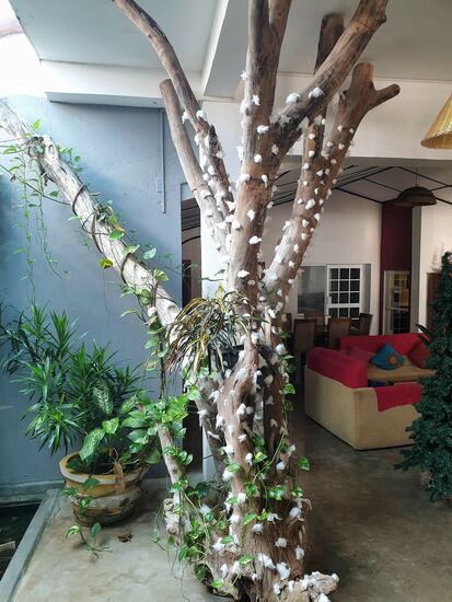 was dann so aussieht