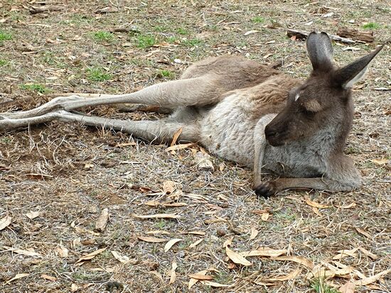 Ganz entspannt im Hier und Jetzt