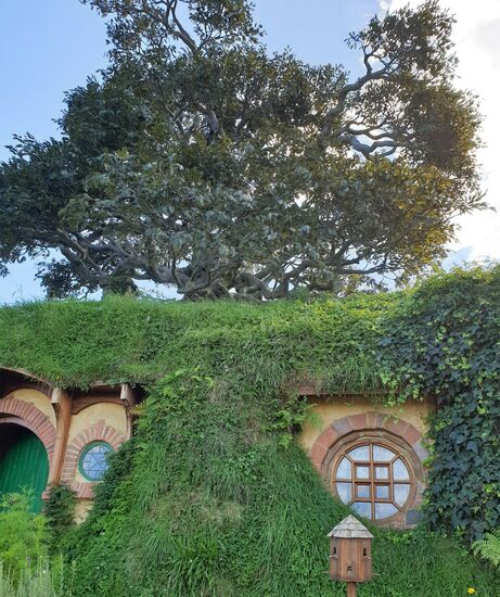 Diese Eiche ist nicht echt. Die Blätter sind importiert aus Asien und in Handarbeit mühsam angeklebt. Der Regisseur war nicht zufrieden mit der Farbe der Blätter, also wurden alle Blätter angesprüht mit der passenden Farbe.