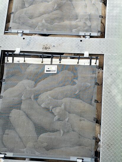 In 3 Etagen auf jedem LKW verladen. So richtig tierfreundlich sieht das nicht aus.