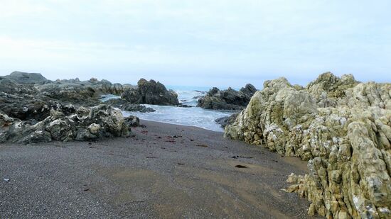 Am Wardstrand. Ein paar einsame Surfer, die hier auf "Die Welle" warten