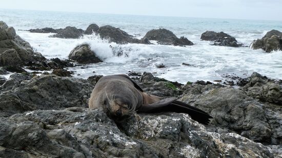 Liegt 2 m neben mir, und ich hab ihn erstmal nicht bemerkt
