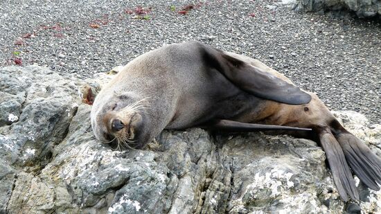 ich bin völlig geflashed. Der lässt sich durch mich nicht stören.
