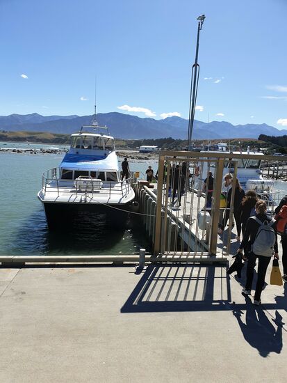 16 Schnorchler und einige Zuschauer haben Platz auf dem Boot