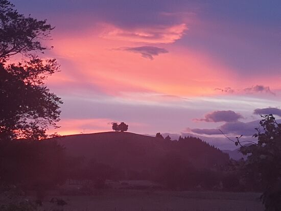 Ein letzter Gruß aus Kaikoura
