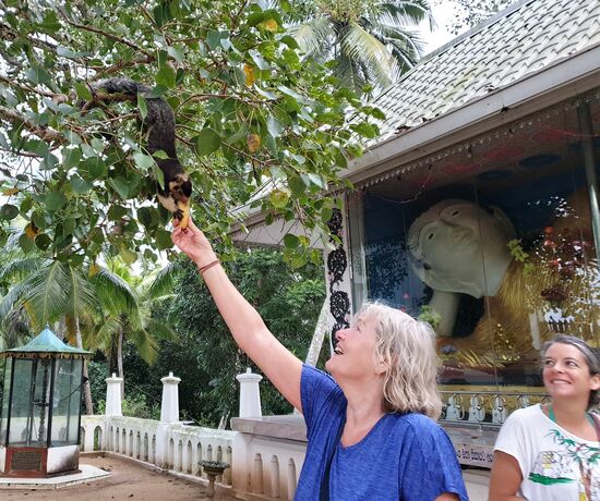in dem großen Baum leben Eich?hörnchen, die von Touristen mit Bananen gefüttert werden dürfen
