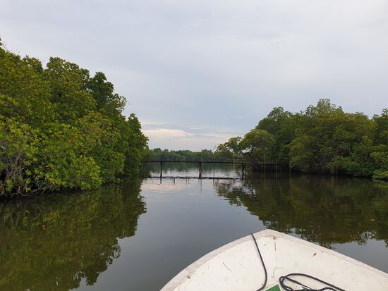 viele kleine Brücken, bei den meisten heißt es Kopf einziehen