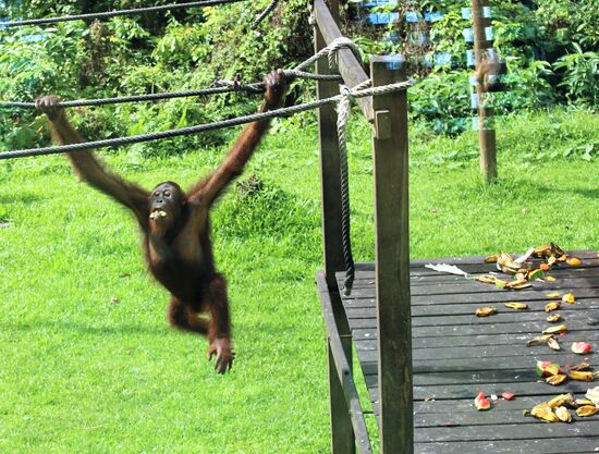 anschließend hat er sich die Backen vollgestopft aus lauter Futterneid